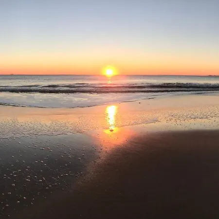 La Maison De La Dune - Climatisées - Jacuzzi 1ère Séance Offerte - Piscine Chauffée Avec Abri Amovible - Située à 200m, Accès Direct Par Le Bois