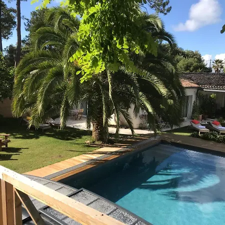 Pensjonat La Maison De La Dune - Climatisees - Jacuzzi 1ere Seance Offerte - Piscine Chauffee Avec Abri Amovible - Situee A 200m, Acces Direct Par Le Bois 5*