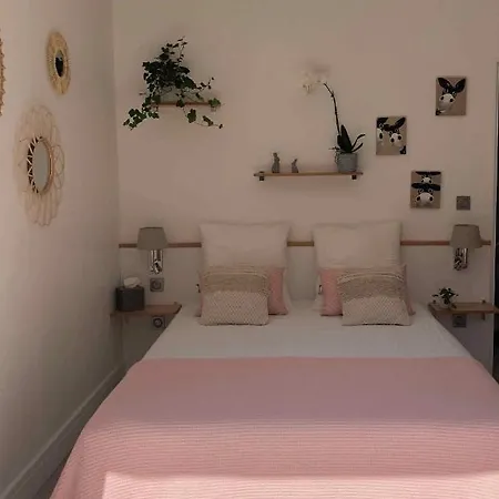 La Maison De La Dune - Climatisees - Jacuzzi 1ere Seance Offerte - Piscine Chauffee Avec Abri Amovible - Situee A 200m, Acces Direct Par Le Bois 5*