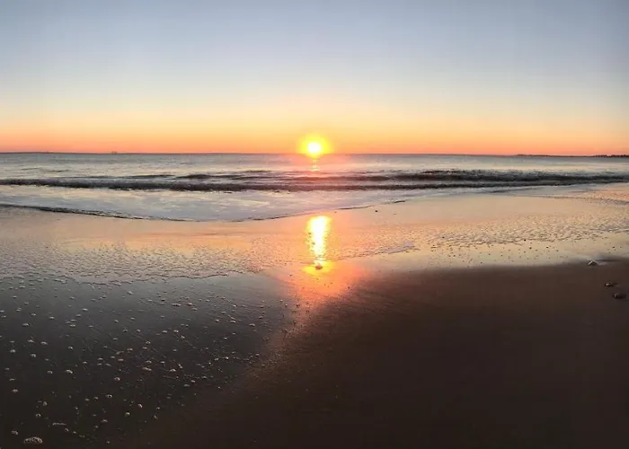 La Maison De La Dune - Climatisées - Jacuzzi 1ère Séance Offerte - Piscine Chauffée Avec Abri Amovible - Située à 200m, Accès Direct Par Le Bois